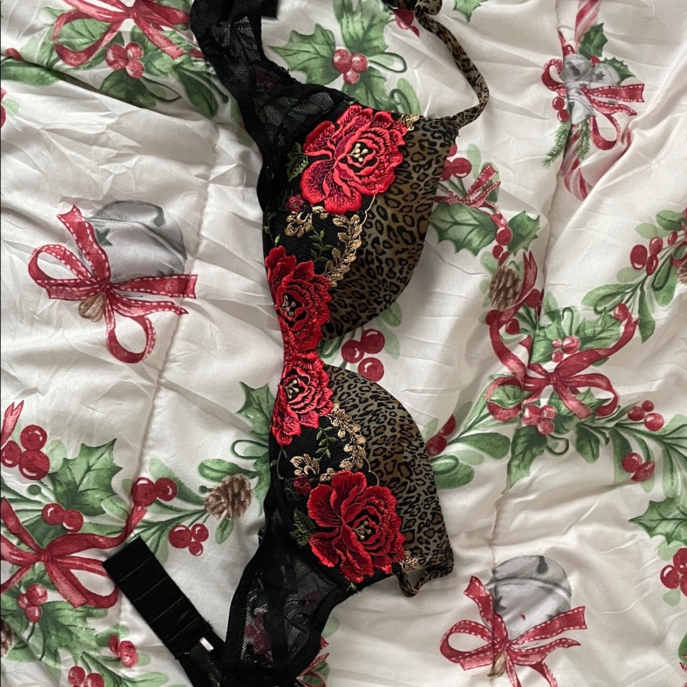 Intimissimi Leopard and Red Lace Bra